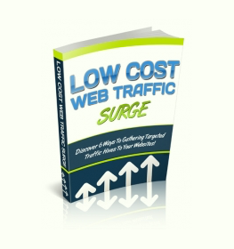 Low Cost Web Traffic Surge