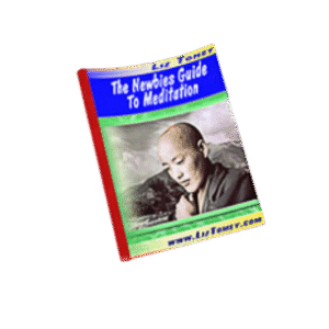 the newbies guide to meditation