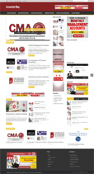 accountant niche blog