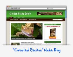 crested gecko guide niche blog