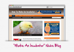 Home how to make an incubator niche blog