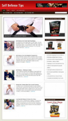 self defense niche blog