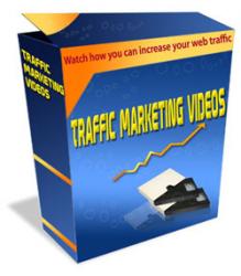 seo 4 newbies plr video